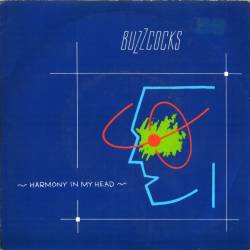 Buzzcocks : Harmony in my Head